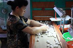 856-Hangzhou,18 luglio 2014